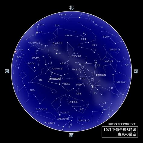 8月10號是什麼星座|8月10號星座 